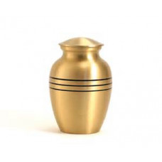 Classic Gold Mini 5.5