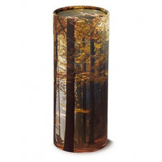 Scattering Tube - Autumn Woods