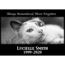 Black Marble Memorial Plaques 