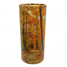 Scattering Tube - Forest Path